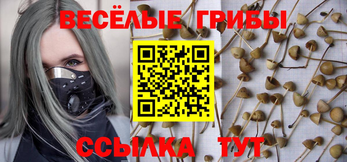 Сосновоборск  Галлюциногенные грибы ЛСД  Псилоцибиновые грибы Cubensis  Вход с VPN 